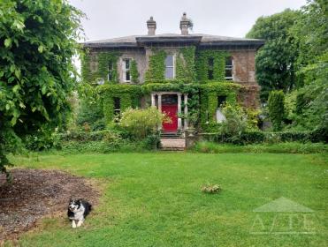 Ryder Cup 2027 Accommodation - Monard, Co Tipperary